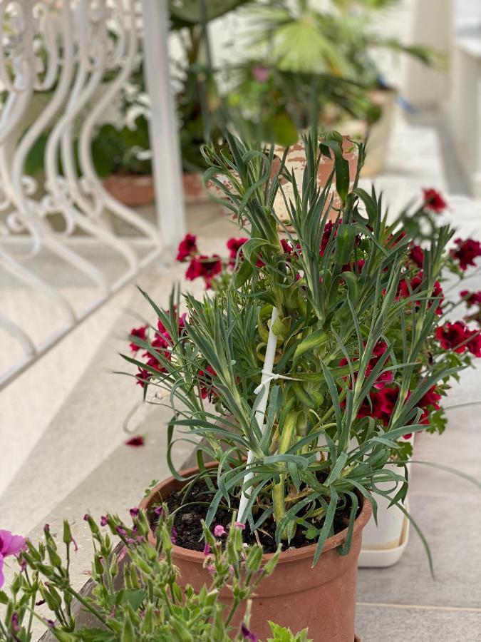 Violet's Boutique Appartement Saranda